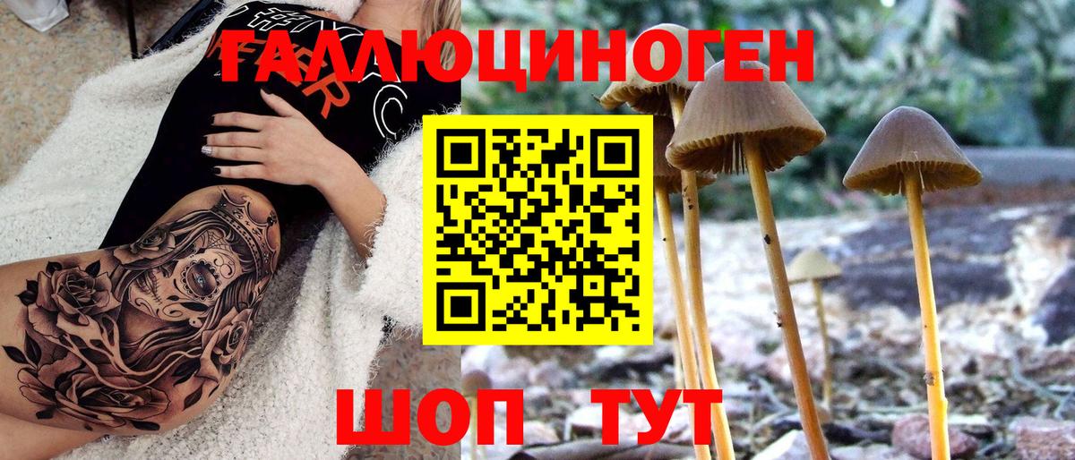 Воскресенск  цена   Вход с VPN  Галлюциногенные грибы GOLDEN TEACHER 
